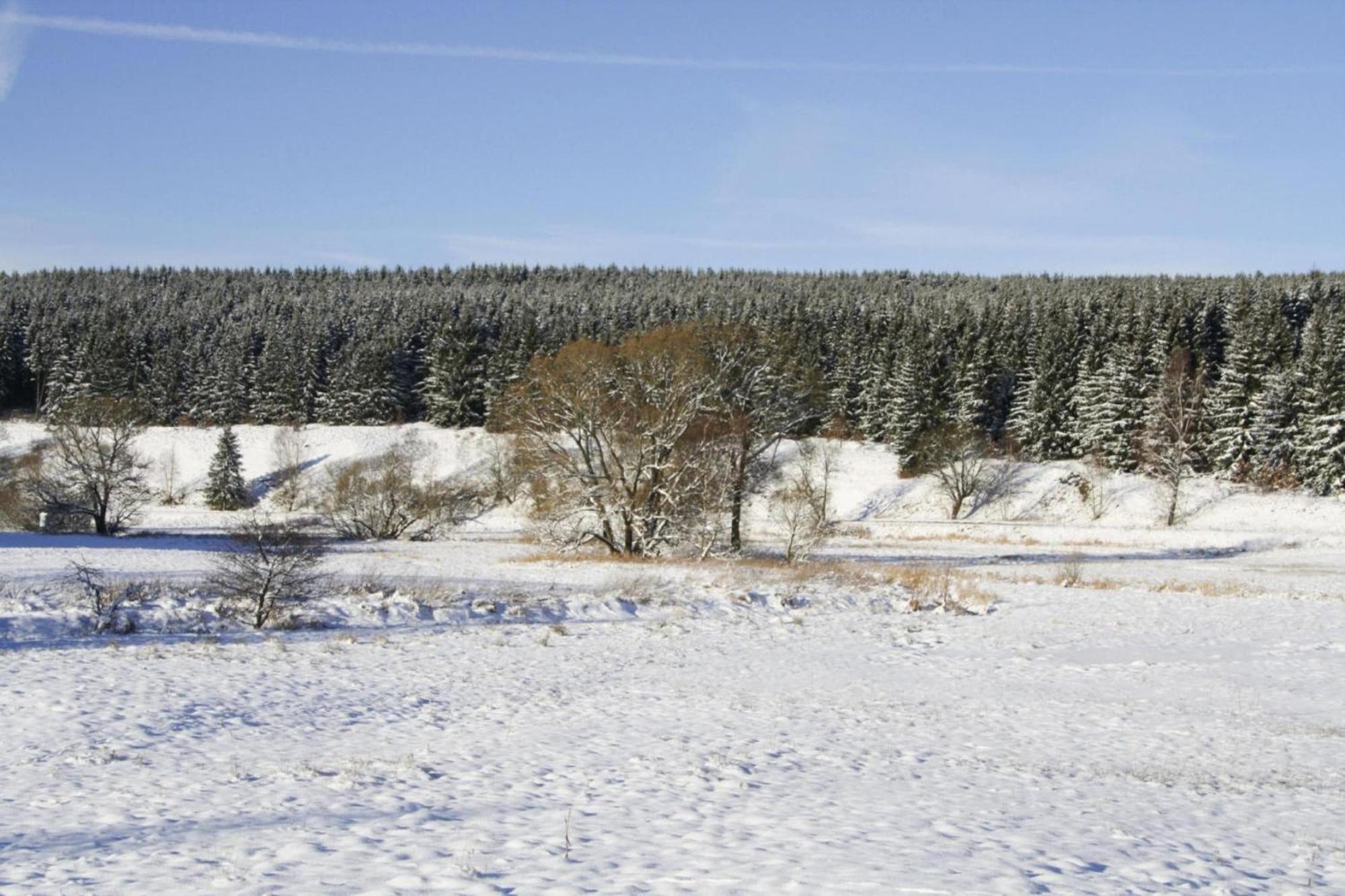 Apartment Braunlage Eksteriør bilde